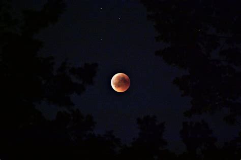 Red Moon during Night Time · Free Stock Photo