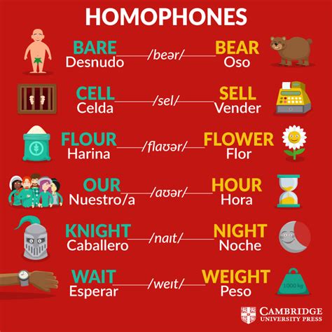 Homophones Vocabulario En Ingles Ingles Palabras Como Aprender