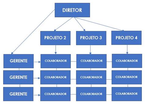 5 exemplos de estrutura organizacional de uma empresa