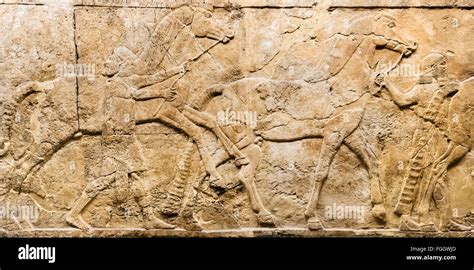 Lion Hunt Reliefs C645 635 Bc From Palace Of King Ashurbanipal In