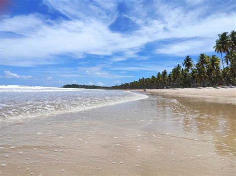 As 13 Melhores Praias Do Brasil Perviamo