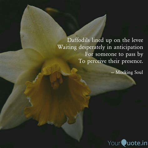 Best Daffodils Quotes Status Shayari Poetry And Thoughts Yourquote