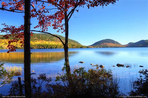 Acadia Autumn On Eagle Lake With Cadillac Mountain