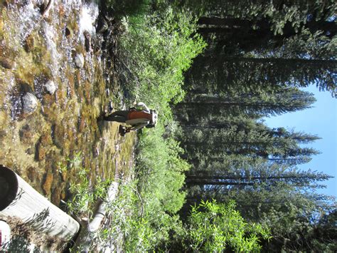 Hiking Down Lower On The North Fork Of The Kings River Not Your