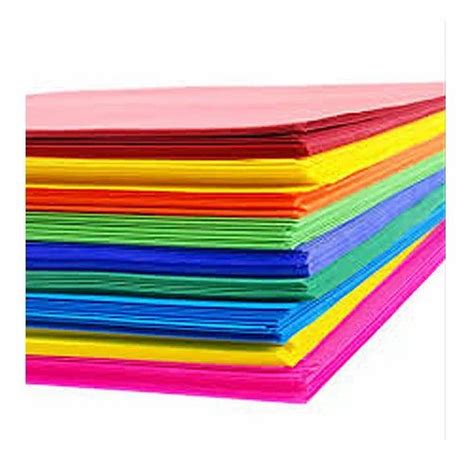 Colored Paper A4 Pack Of 100 Rs 220 Packet Shriji Paper Corporation