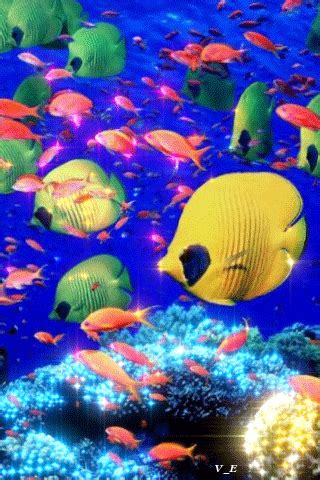 3d live wallpaper.fishes animated wallpapers features amazing video animated wallpaper to personalise your phone. Пин от пользователя Debi Wedd на доске Under Water World ...