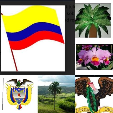 Los Simbolos Patrios Los Simbolos Patrios De Colombia Images