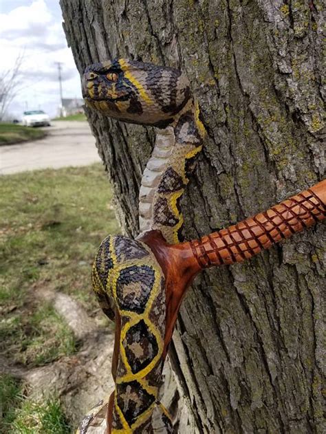 Rattlesnake Cane Woodworking Project By Carvings By Levi Craftisian
