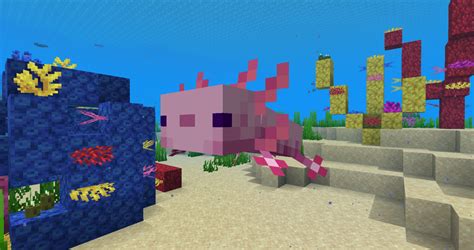 Minecraft 117 Caves And Cliffs Snapshot 20w51a Axolotls Mob