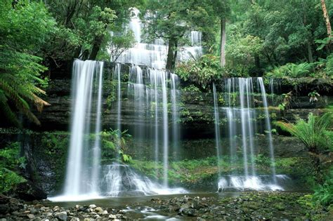 Nature Landscape Trees Forest Stones Water Waterfall Plants