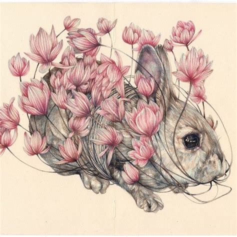 The Colored Pencils Of Marco Mazzoni Animal Sketches Animal Drawings