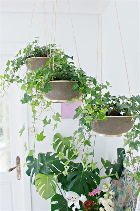 Diy Indoor Hanging Planters That Add Style To Your Space The Garden Glove