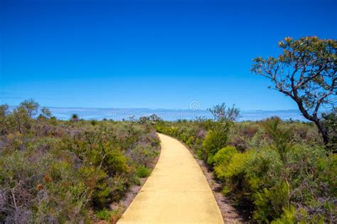 Hiking Path At Nilgen Nature Reserve At The Coast Of Western Australia
