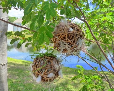 Diy Birdhouses Diy Grapevine Balls For Nesting Birds