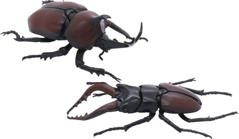 Living Creature Series Stag Beetle Vs Japanese Rhinoceros Beetle Duel