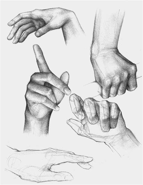 29 Hands Cupped Together Drawing Lewisrugile