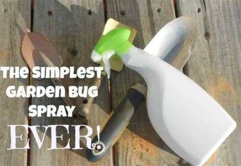 Homemade Bug Spray For Gardens