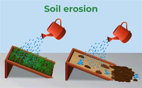 Soil Erosion Prevention For Kids