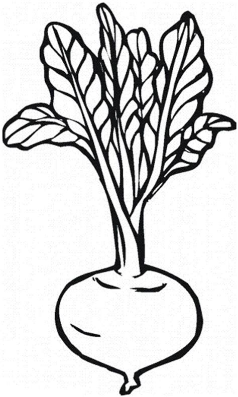 Free vegetables and fruits coloring pages to print for kids. Beetroot Vegetables Coloring Page : Kids Play Color