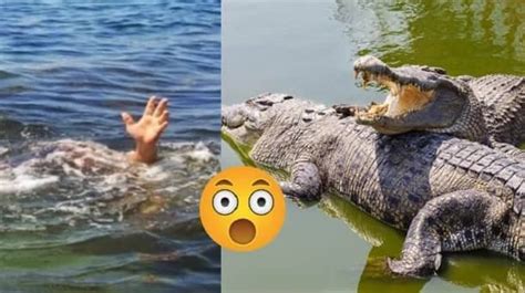 Was A Pastor Eaten By Crocodiles While Trying To Walk On Water Like Jesus Legit Ng