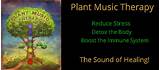 Images of Plant Music Therapy