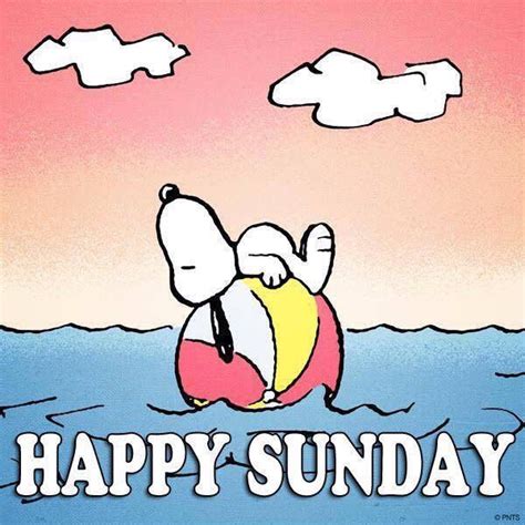 Snoopy Happy Sunday Pictures Photos And Images For Facebook Tumblr