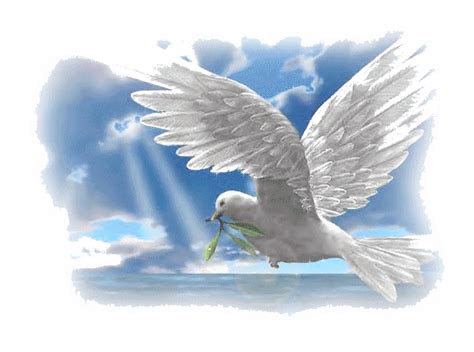 Pin By Al Yamama On Moving Pictures Holy Spirit Dove Holy Spirit