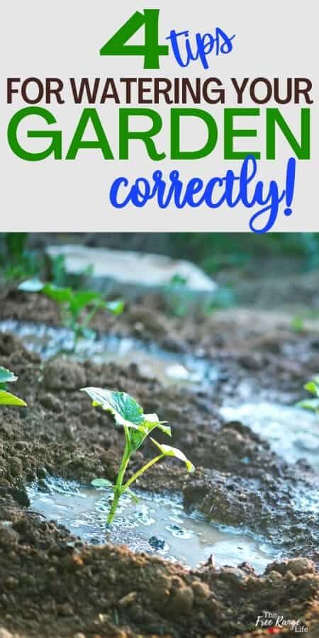 How To Water Your Garden Correctly