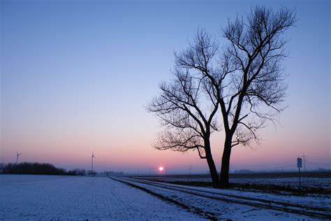 Free Images Landscape Tree Nature Horizon Branch Snow Cold Sky