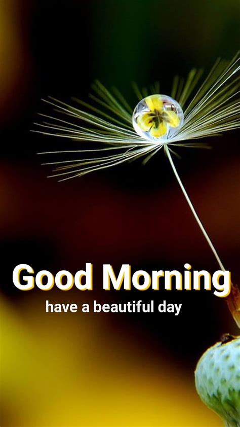 The Ultimate Collection Of Stunning Good Morning Beautiful Images In HD And K