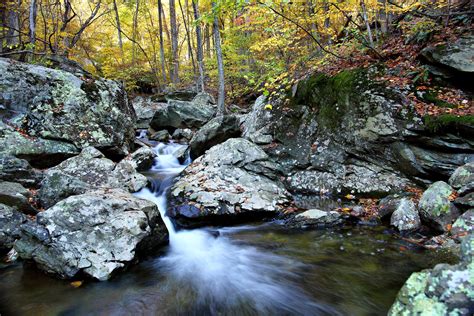Autumn Forest Creek Waterfalls | Creeks & Streams| Free Nature Pictures ...