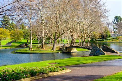 Rymill Park With Bridges Over The Pond In Adelaide City Stock Photo