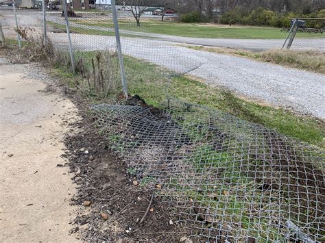 Brickyard Market Powell (@BrickyardMarket) / Twitter