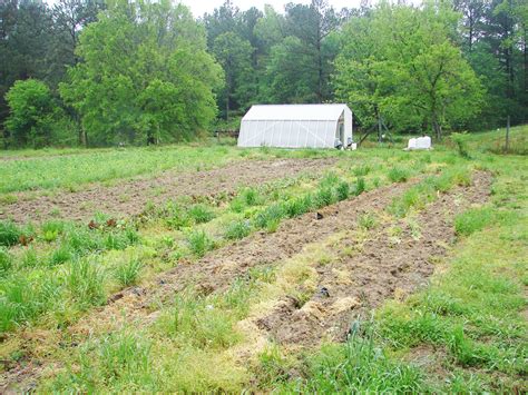 And growing a mountain of vegetables which they use in the restaurant on the same site and are also delivering food in their neighbourhood. Eco Farm - Weaver Street Market