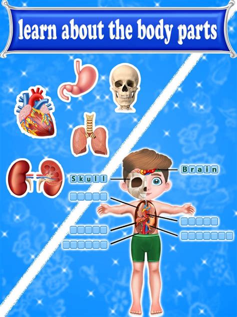 Learning Human Body Parts For Kids Apk Pour Android Télécharger