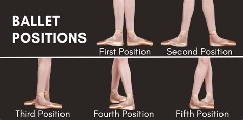 Ballet Positions Ballet Basics For Beginners — Dancewear Corner
