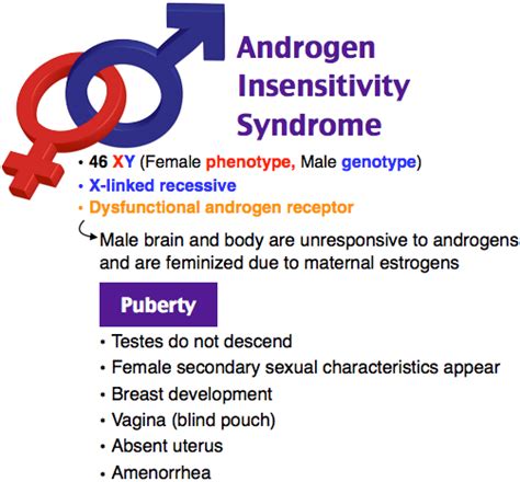 Androgen Insensitivity Syndrome Testicular Femininization Androgen Insensitivity Syndrome