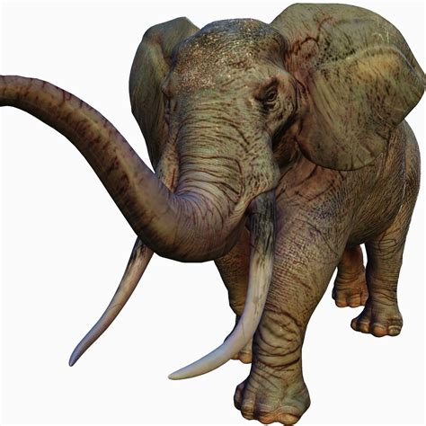 3d Model Vray Realistic African Elephant Cgtrader