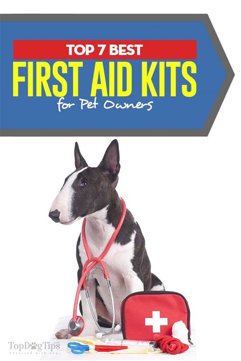 Top 7 Best Dog First Aid Kit Options For Pet Emergencies 2018