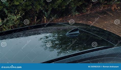 Downpour Drips To The Vehicle Roof Rain In The City Wet Car Closeup Stock Video Video Of