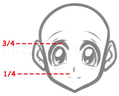 How To Draw An Anime Front Face Step By Step Drawing Guide By Dawn