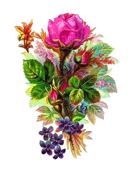 Select from premium vintage flower illustration of the highest quality. Antique Images: Vintage Digital Flower Clip Art Pink Rose ...