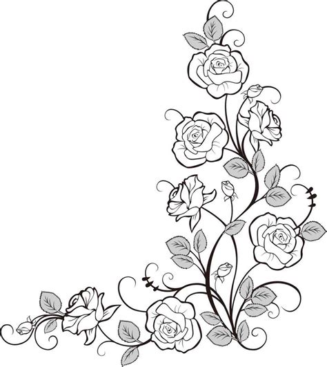 Rose Vine Drawing At Getdrawings Free Download