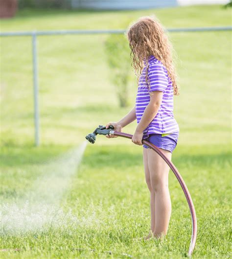 Top 10 Best Watering Times For Lawn