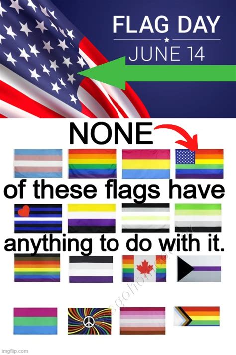 No Confusion Here America Has ONE National Flag Imgflip