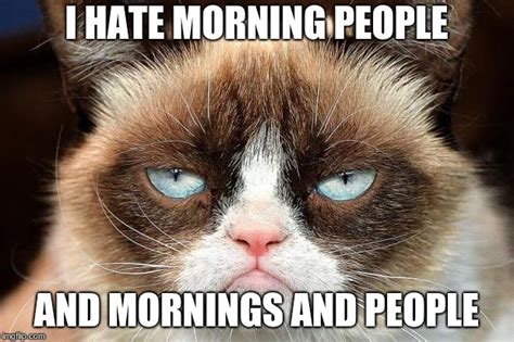 Grumpy Cat Not Amused Meme Imgflip