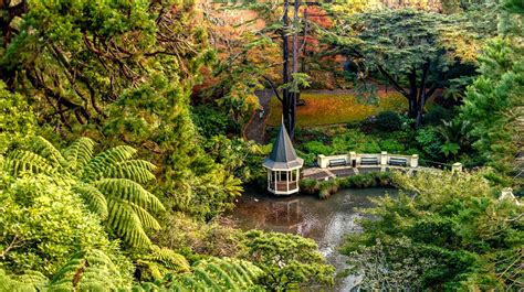 10 Best Wellington Gardens To Visit Natural Attractions Best Bits