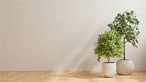 Empty Room With Wooden Floor And Plant Stock Illustration