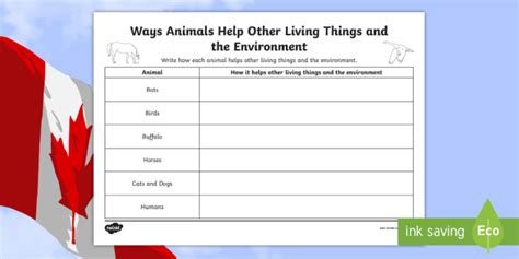 Ways Animals Help Other Living Things Activity