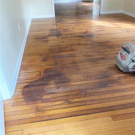 How To Get Rid Of Pet Stains On Wood Floors Floor Roma